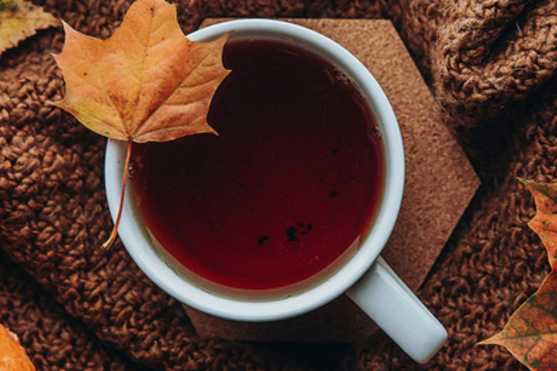 MCS Herbal Tea and Chat