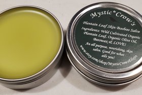 Plantain Leaf Skin Booboo Salve